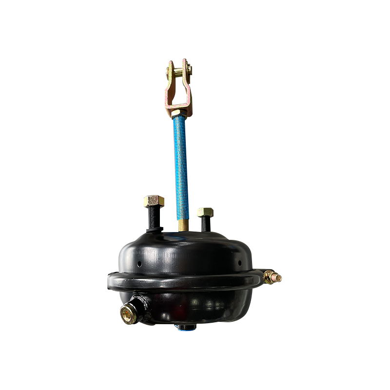 T30 In III 'Percussus Niger Brake camera