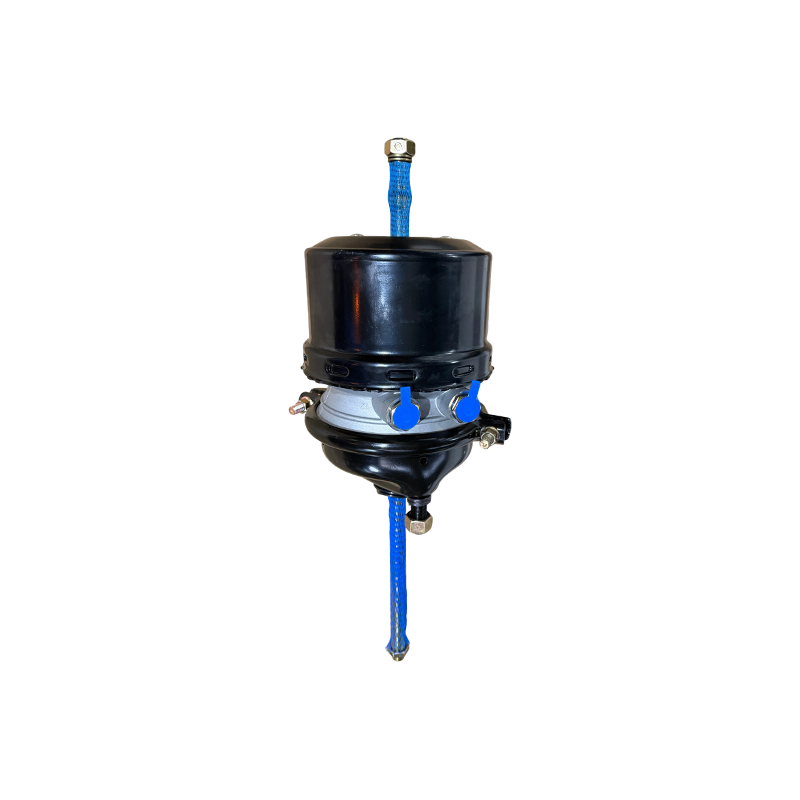 T2424DP signati M22 port