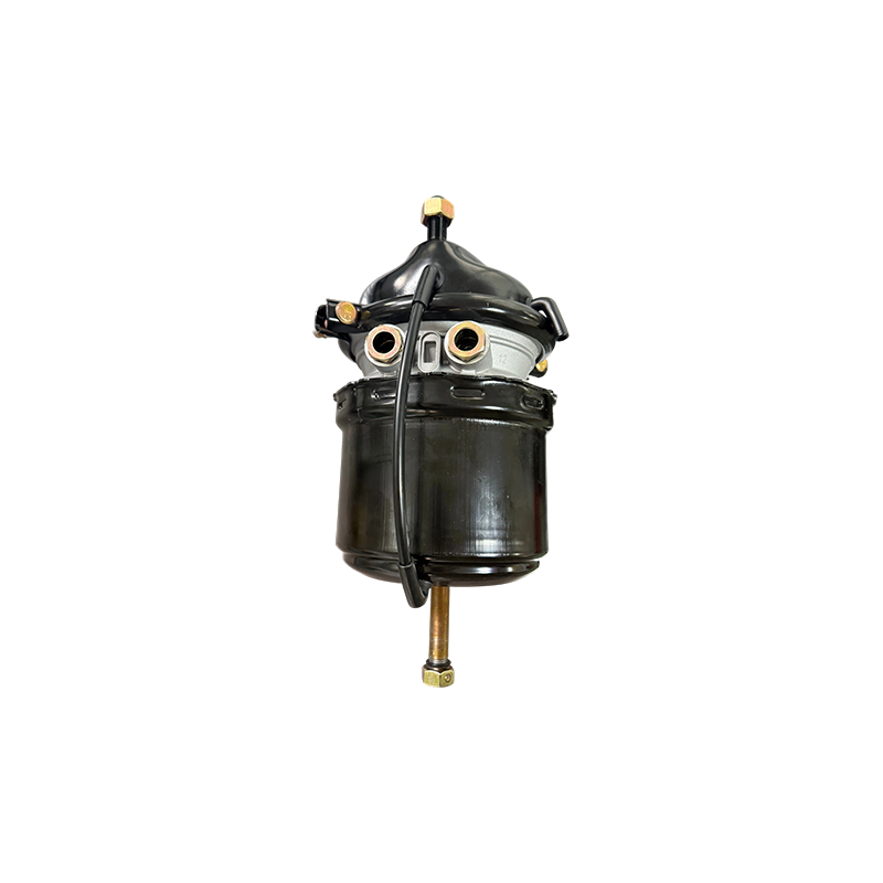 T2424DP brevis cum Voss