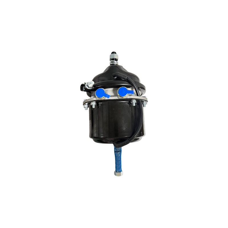T2424DP brevis cum Voss