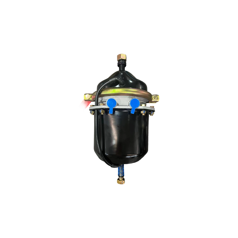T2424DP brevis cum Voss